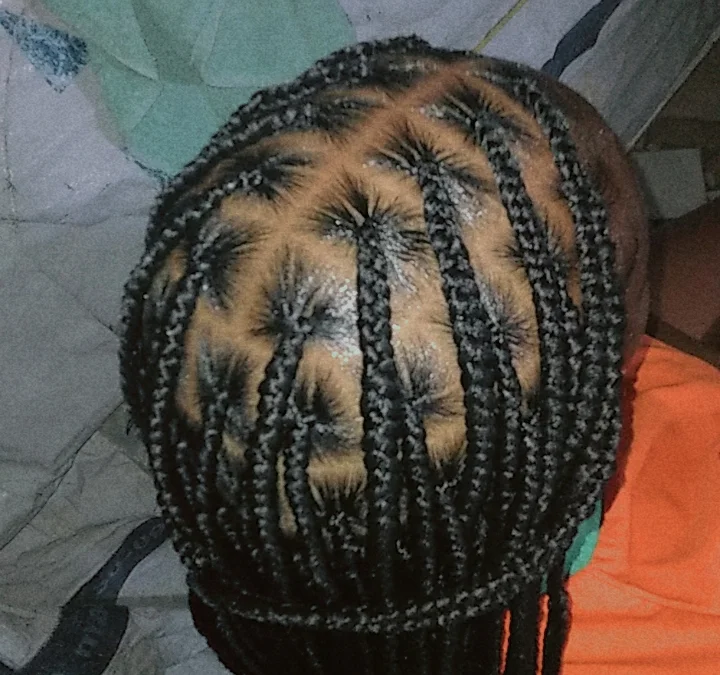 Knotless Braids (Small)