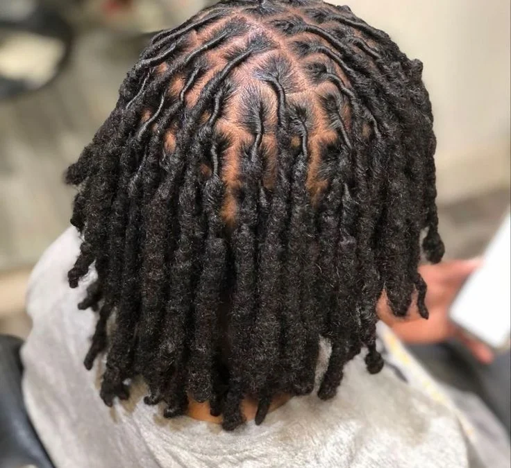 Starter Locs