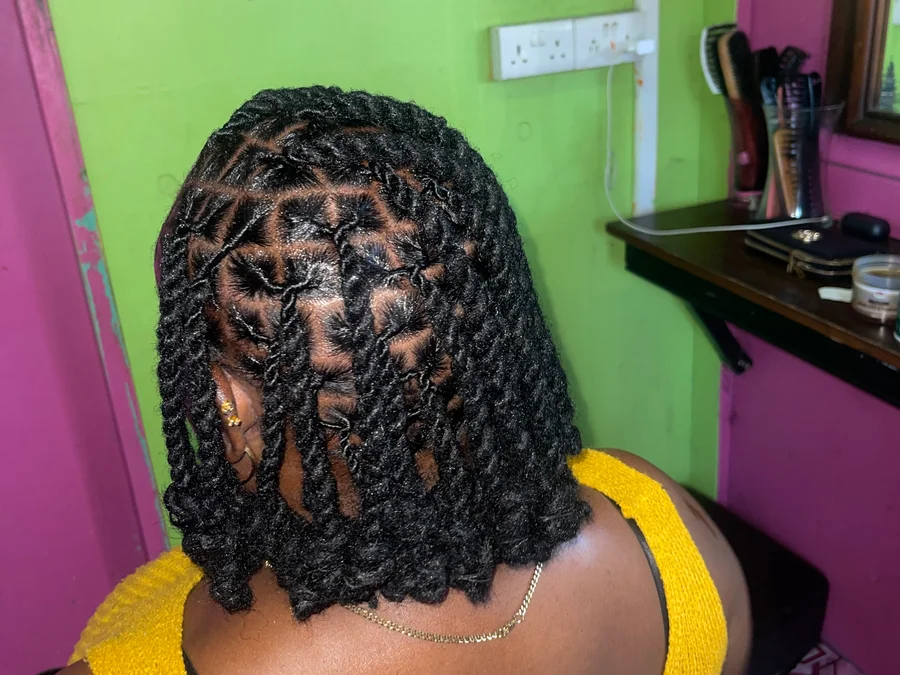 Locs repair