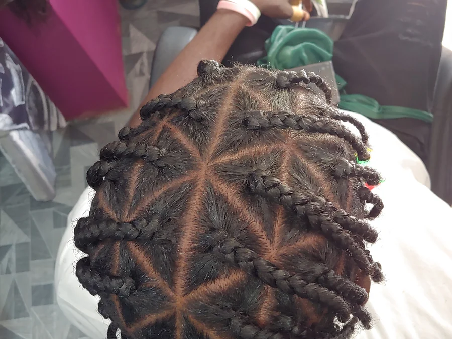 Natural Plait and twist