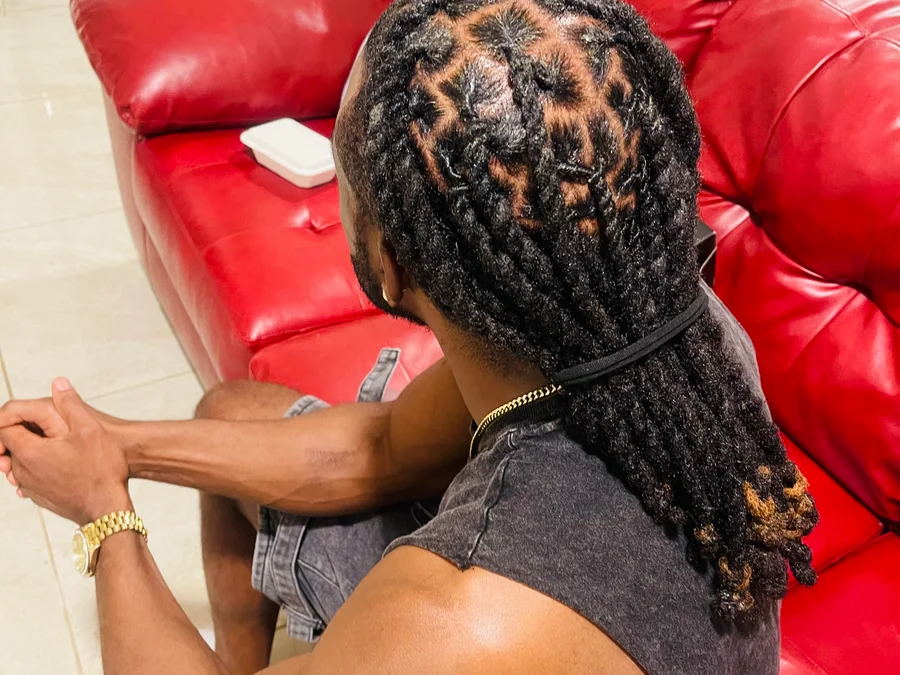 Locks twist and style