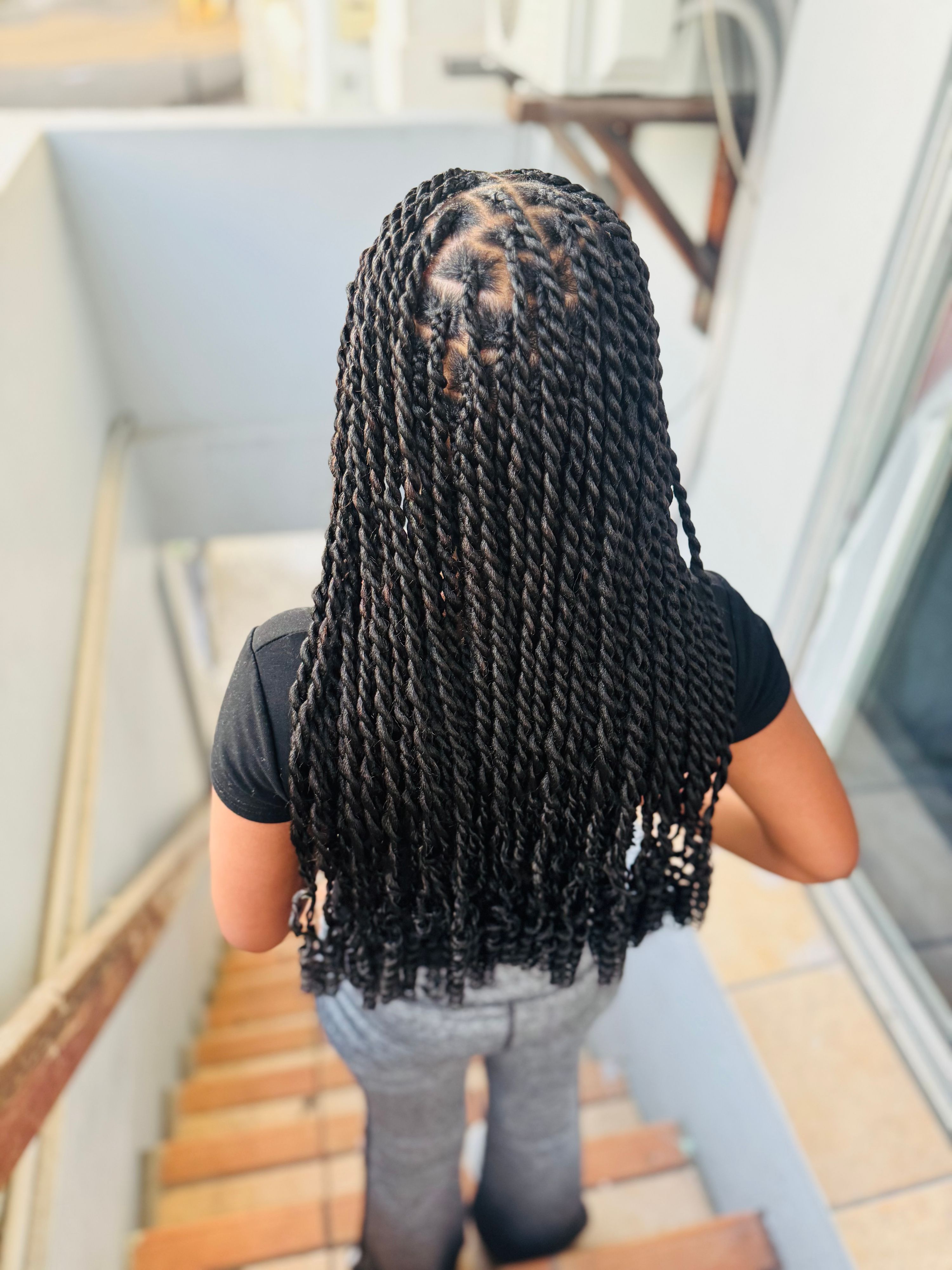 Plait and twist braids 