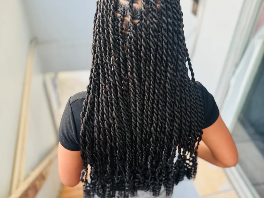 Plait and twist braids
