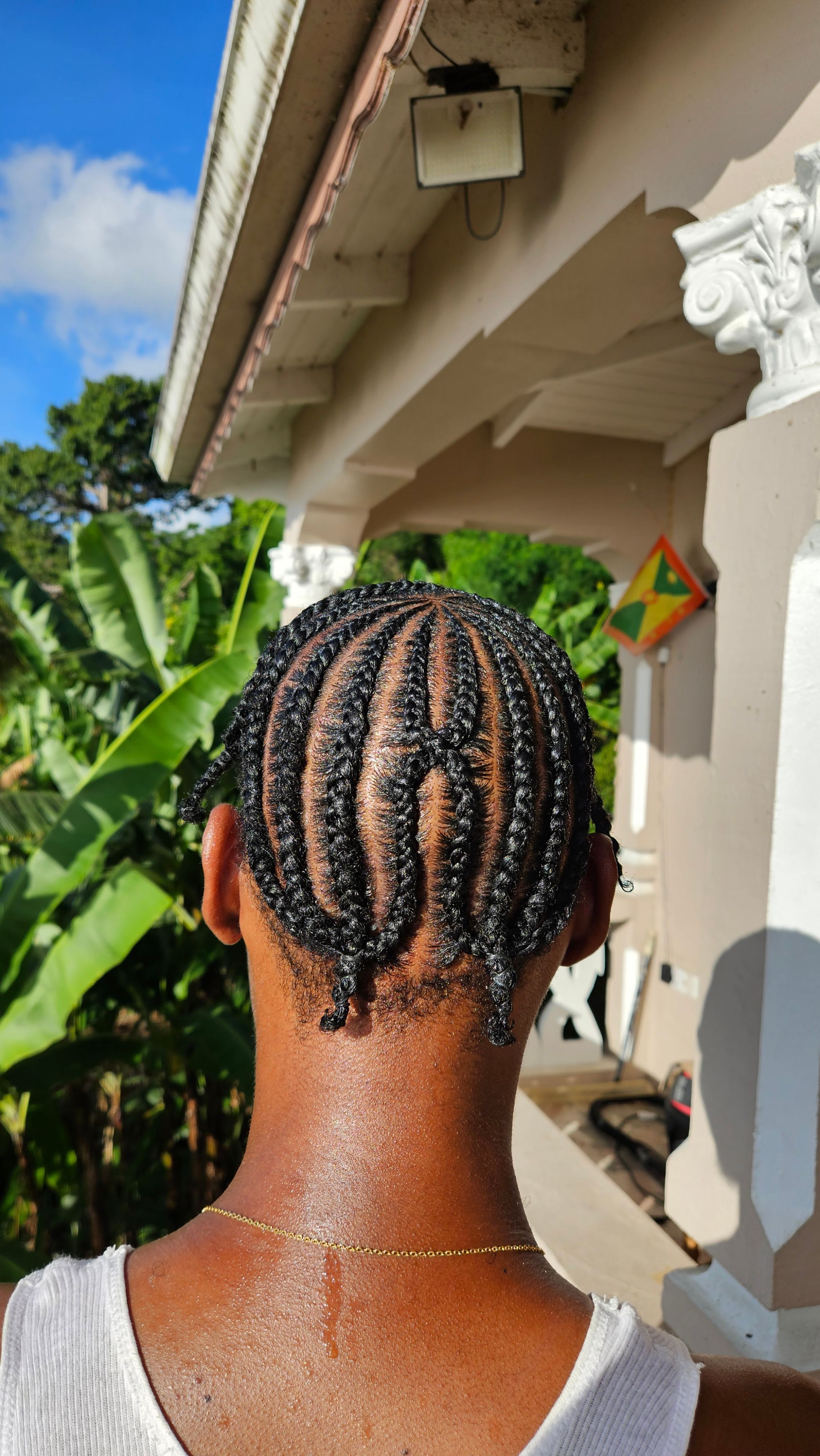 Natural Braided Hairstyle 