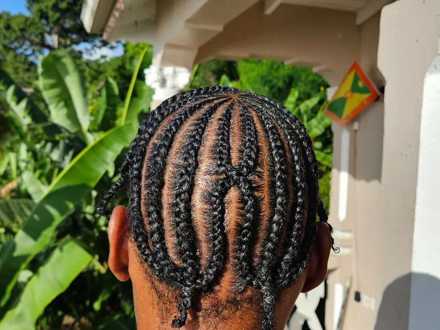 Natural Braided Hairstyle