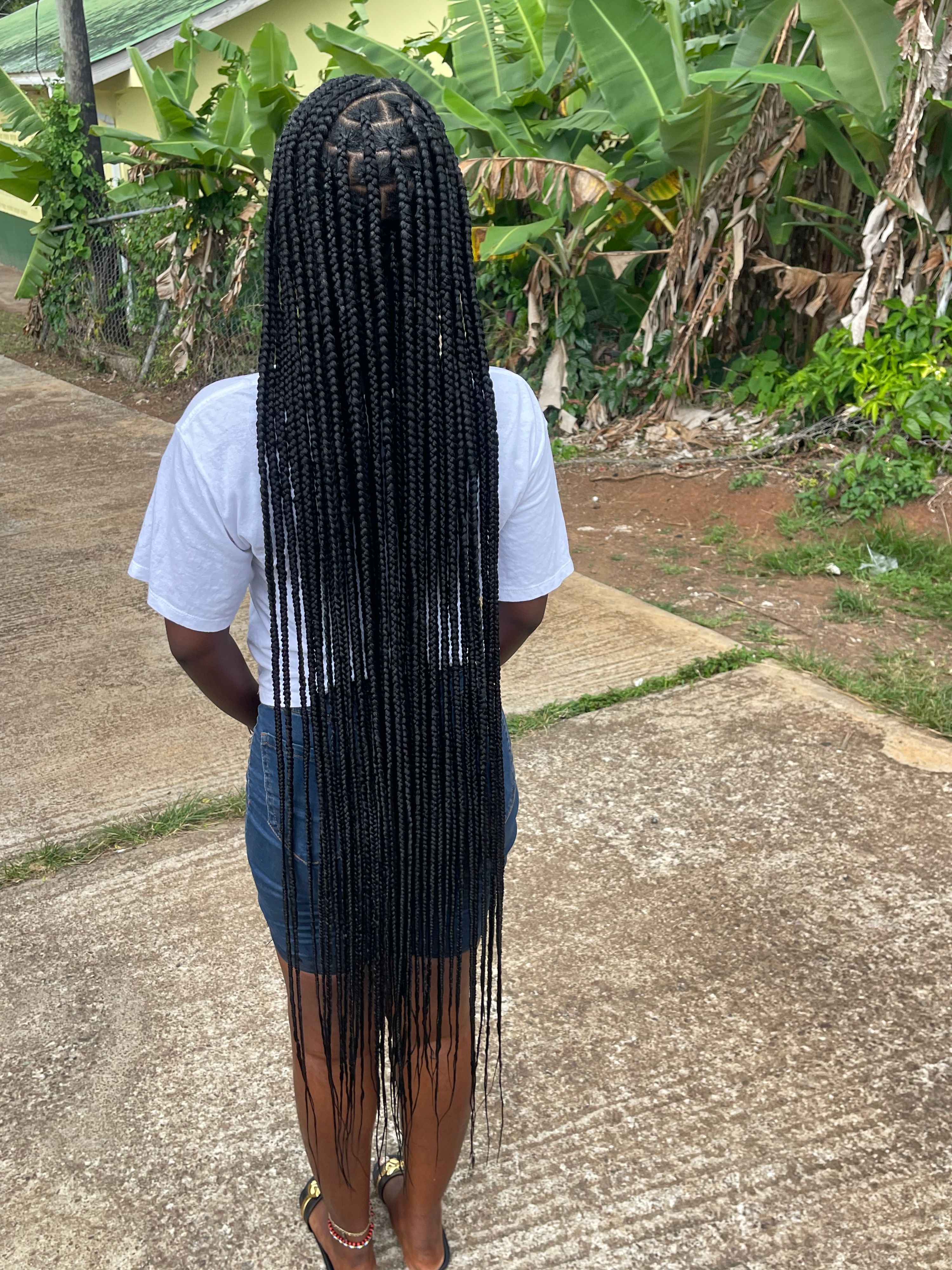 Fulani 